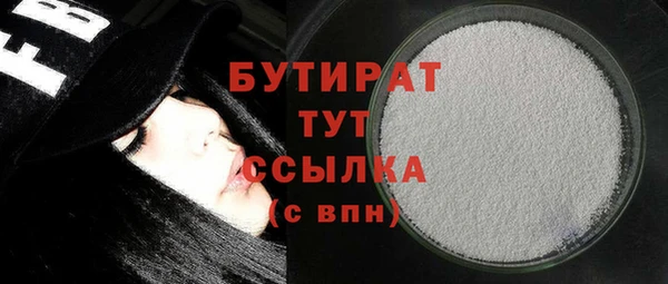 индика Осташков