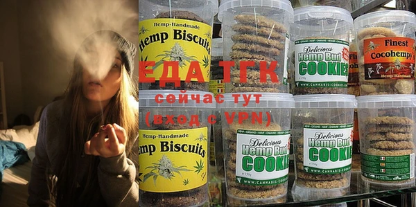 индика Осташков