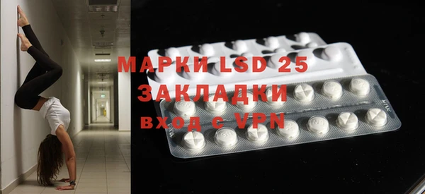 стафф Осинники
