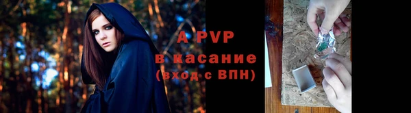 индика Осташков