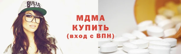 индика Осташков