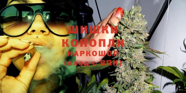индика Осташков