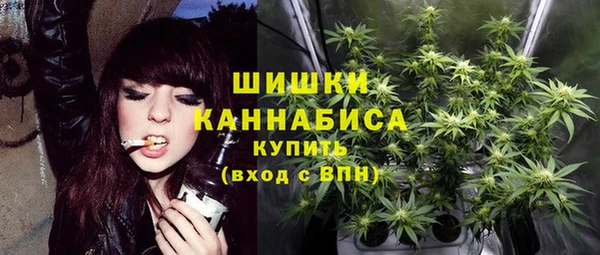 спайс Пестово