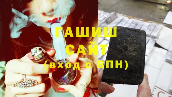 индика Осташков