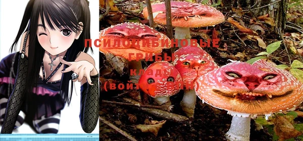 индика Осташков