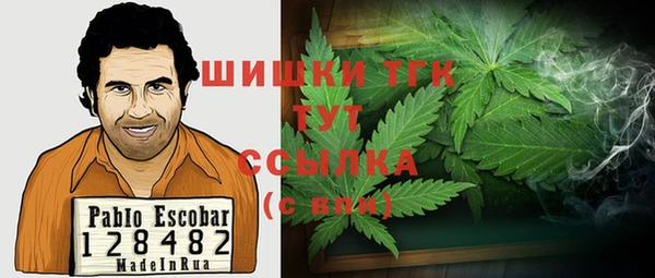 стафф Осинники