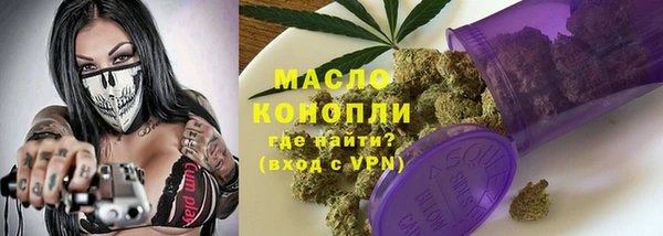индика Осташков