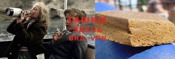 индика Осташков