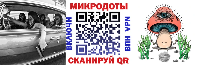 Псилоцибиновые грибы Psilocybine cubensis Купить Коркино